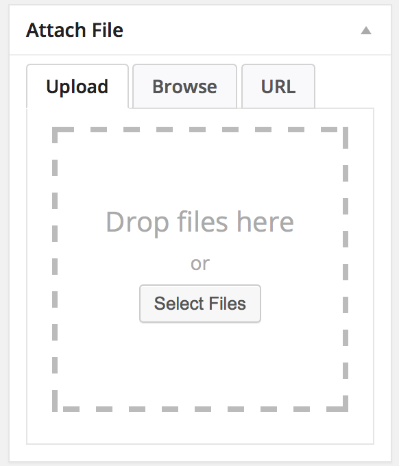 Attach File Wordpress Download Manager