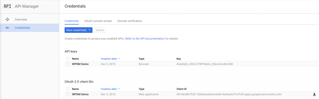 Copy Client ID Client Secret and API Key